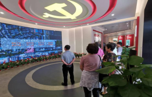 四川省电力电子学会党支部开展主题党日活动