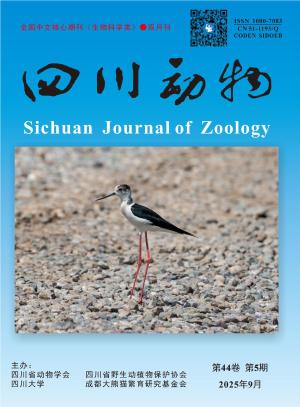 四川动物 