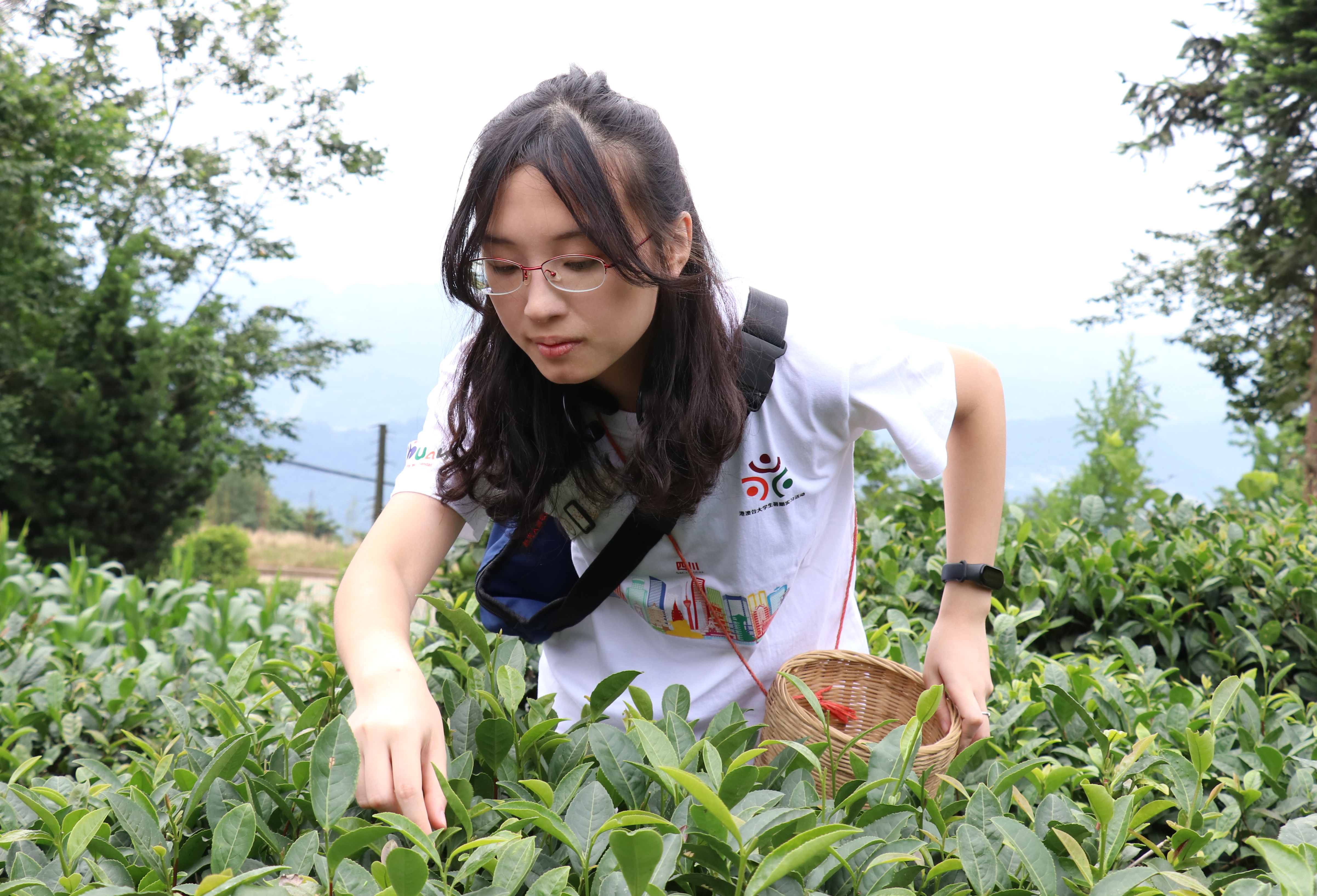 暑期实习 | 港澳台大学生研学活动走进雅安